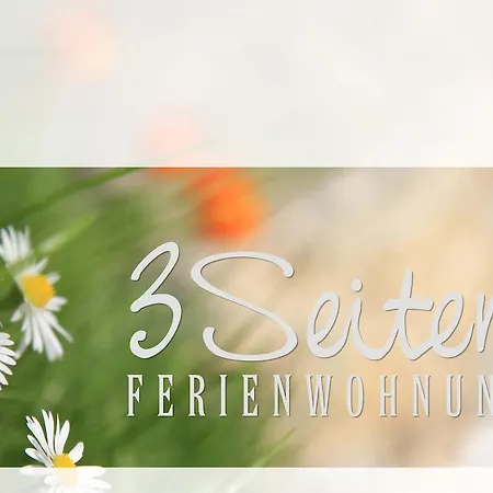 3 Seiten Appartement Iéna